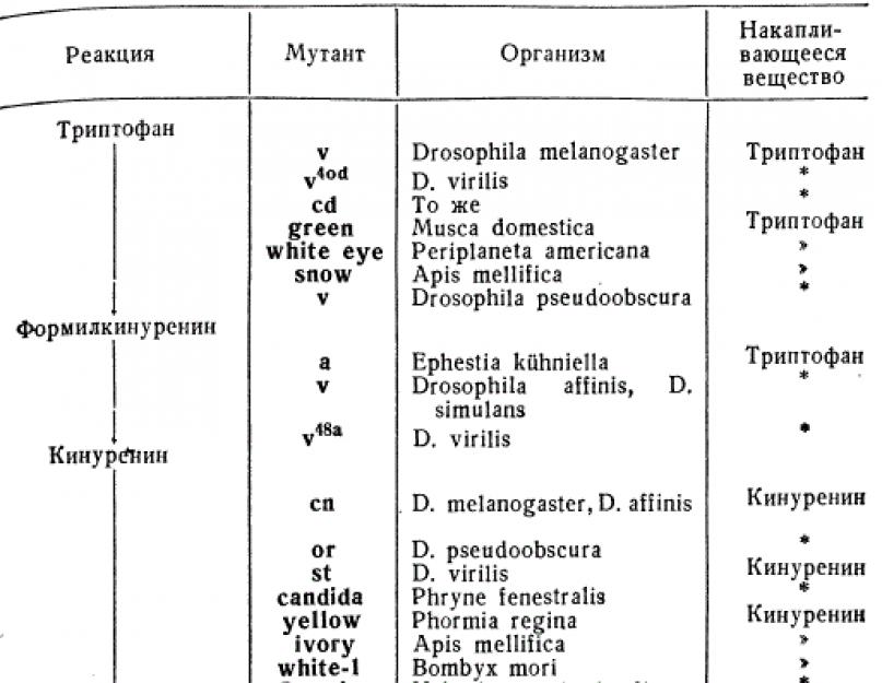 The law of homological series of hereditary variability.  The law of homological series of hereditary variability of organisms The essence of the law of homological series of hereditary variability