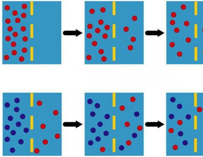 Concentration and electrical gradients.  The sodium (Na) concentration gradient as the driving force for membrane transport. The movement of substances against the concentration gradient is called